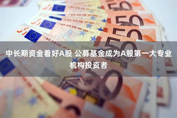 中长期资金看好A股 公募基金成为A股第一大专业机构投资者