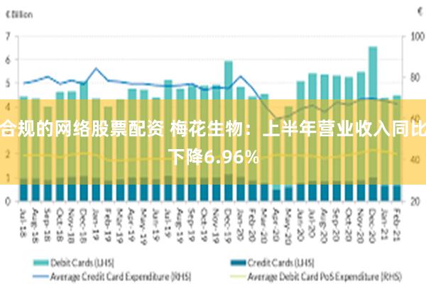 合规的网络股票配资 梅花生物：上半年营业收入同比下降6.96%