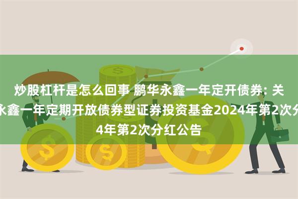 炒股杠杆是怎么回事 鹏华永鑫一年定开债券: 关于鹏华永鑫一年定期开放债券型证券投资基金2024年第2次分红公告