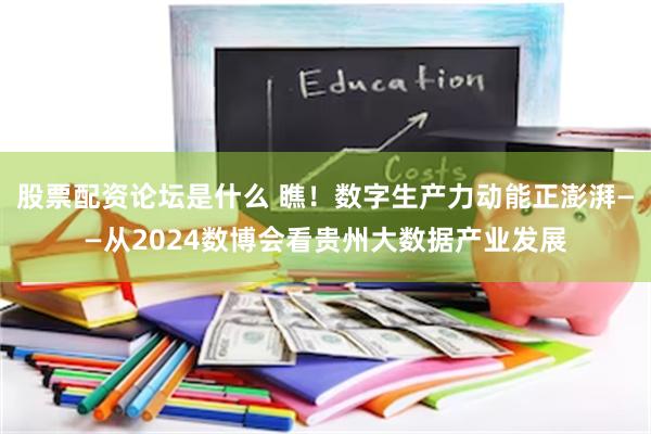 股票配资论坛是什么 瞧！数字生产力动能正澎湃——从2024数博会看贵州大数据产业发展