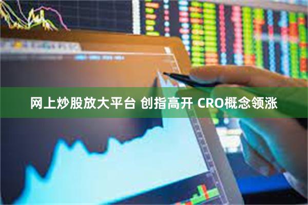 网上炒股放大平台 创指高开 CRO概念领涨