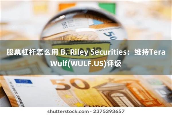 股票杠杆怎么用 B. Riley Securities：维持TeraWulf(WULF.US)评级