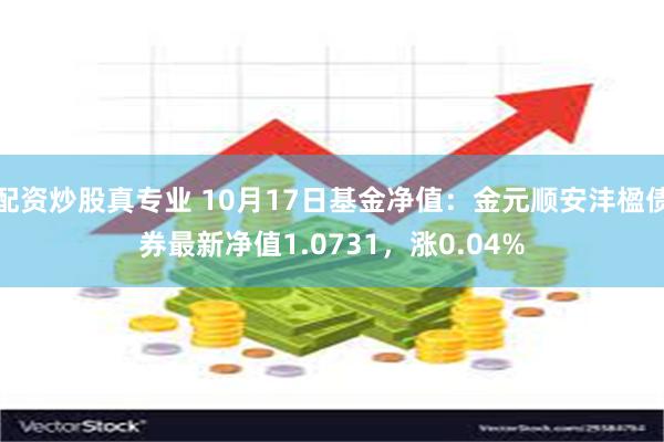 配资炒股真专业 10月17日基金净值：金元顺安沣楹债券最新净值1.0731，涨0.04%