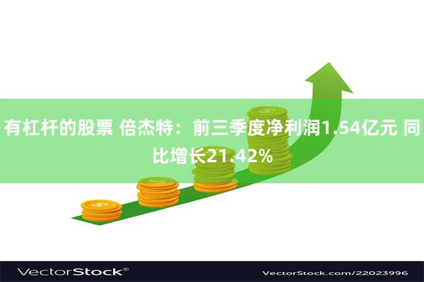 有杠杆的股票 倍杰特：前三季度净利润1.54亿元 同比增长21.42%